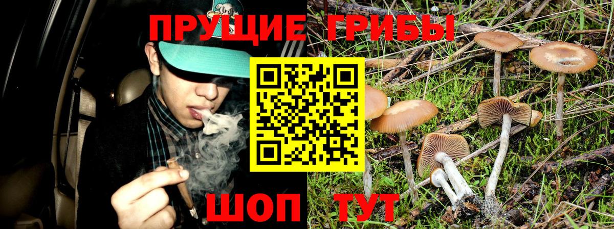 Ликино-Дулёво  Галлюциногенные грибы Psilocybine cubensis  Вход с VPN 