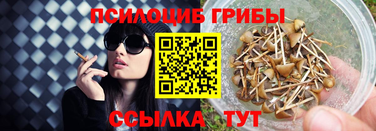 Галлюциногенные грибы MAGIC MUSHROOMS Ликино-Дулёво